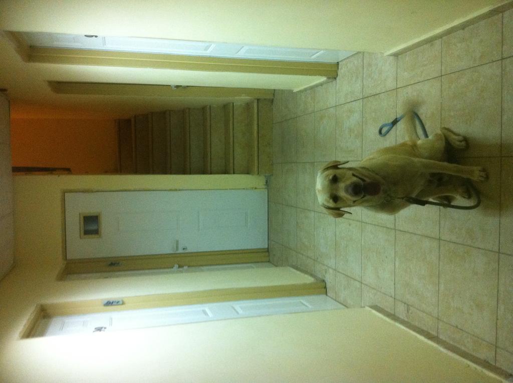 Faulty Towers Hotel Eilat Esterno foto